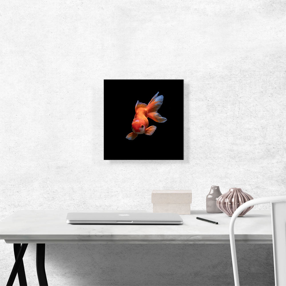 Gold Fish Home decor