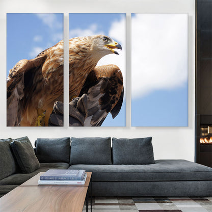 Golden Eagle Home Decor