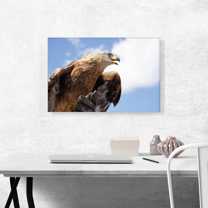 Golden Eagle Home Decor