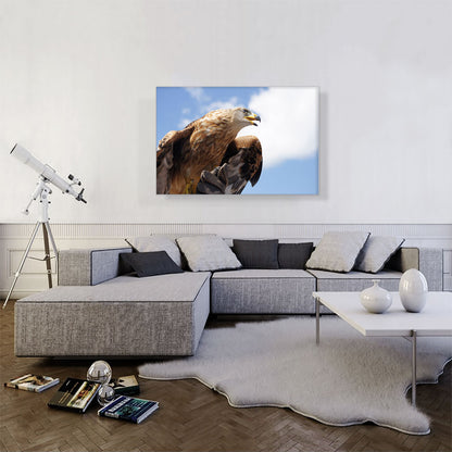 Golden Eagle Home Decor