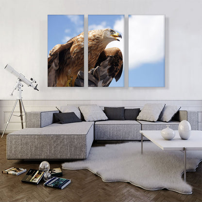Golden Eagle Home Decor