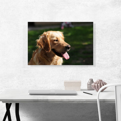 Golden Retriever Dog Home decor