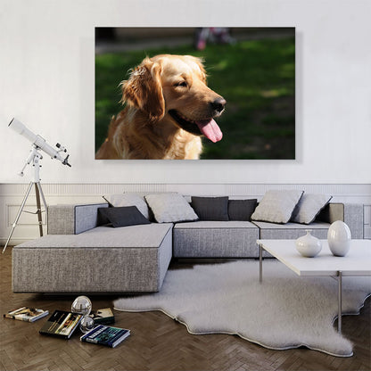 Golden Retriever Dog Home decor