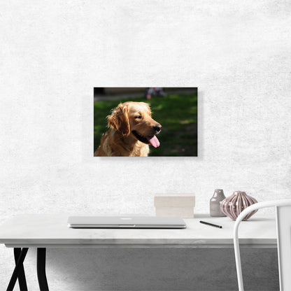 Golden Retriever Dog Home decor
