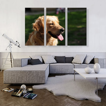 Golden Retriever Dog Home decor