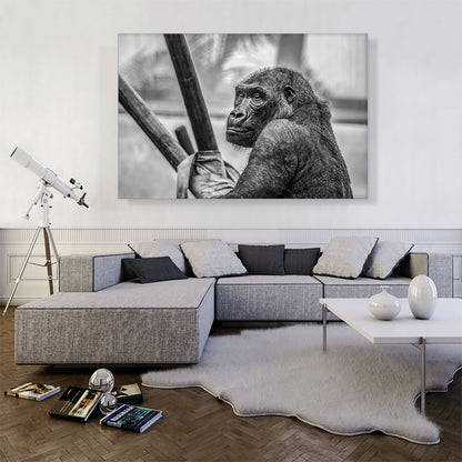 Gorilla Home Decor Rectangle