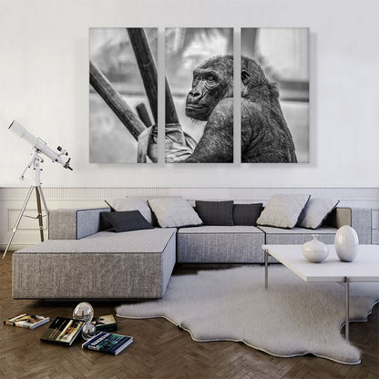 Gorilla Home Decor Rectangle