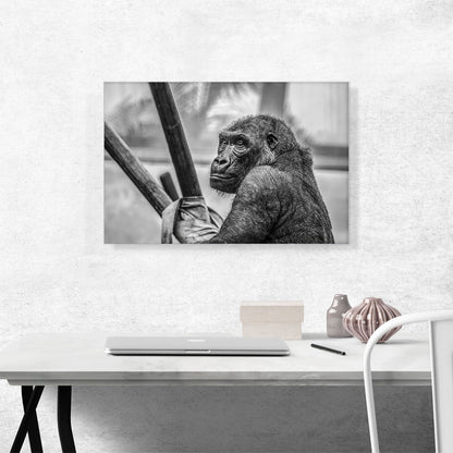 Gorilla Home Decor Rectangle