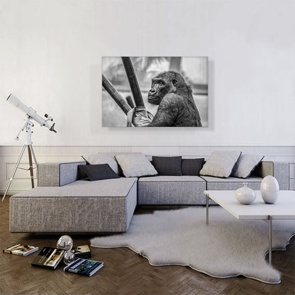 Gorilla Home Decor Rectangle