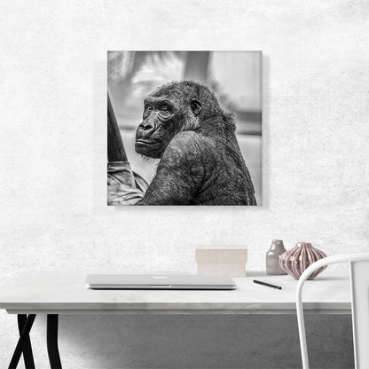 Gorilla Home Decor Square
