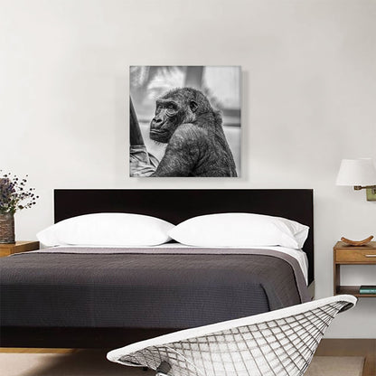 Gorilla Home Decor Square