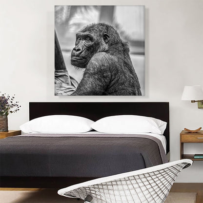 Gorilla Home Decor Square