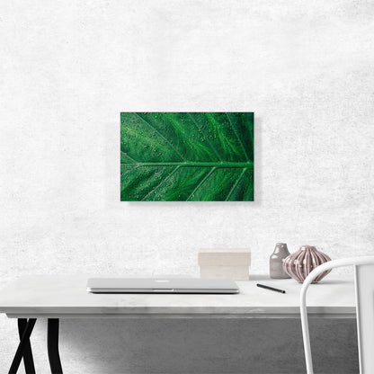 Grass Dew Plant Home decor