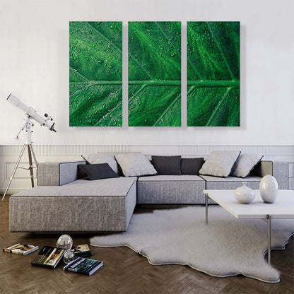 Grass Dew Plant Home decor