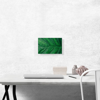 Grass Dew Plant Home decor