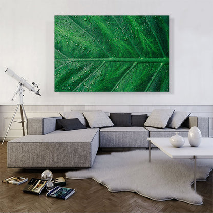 Grass Dew Plant Home decor