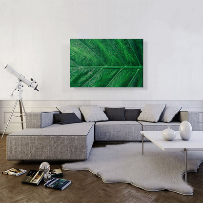 Grass Dew Plant Home decor