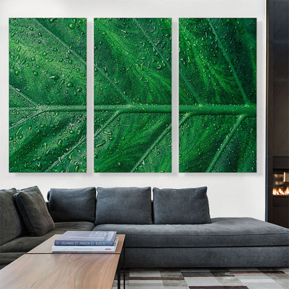 Grass Dew Plant Home decor