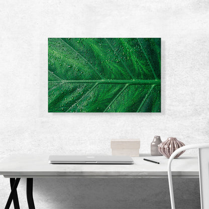 Grass Dew Plant Home decor