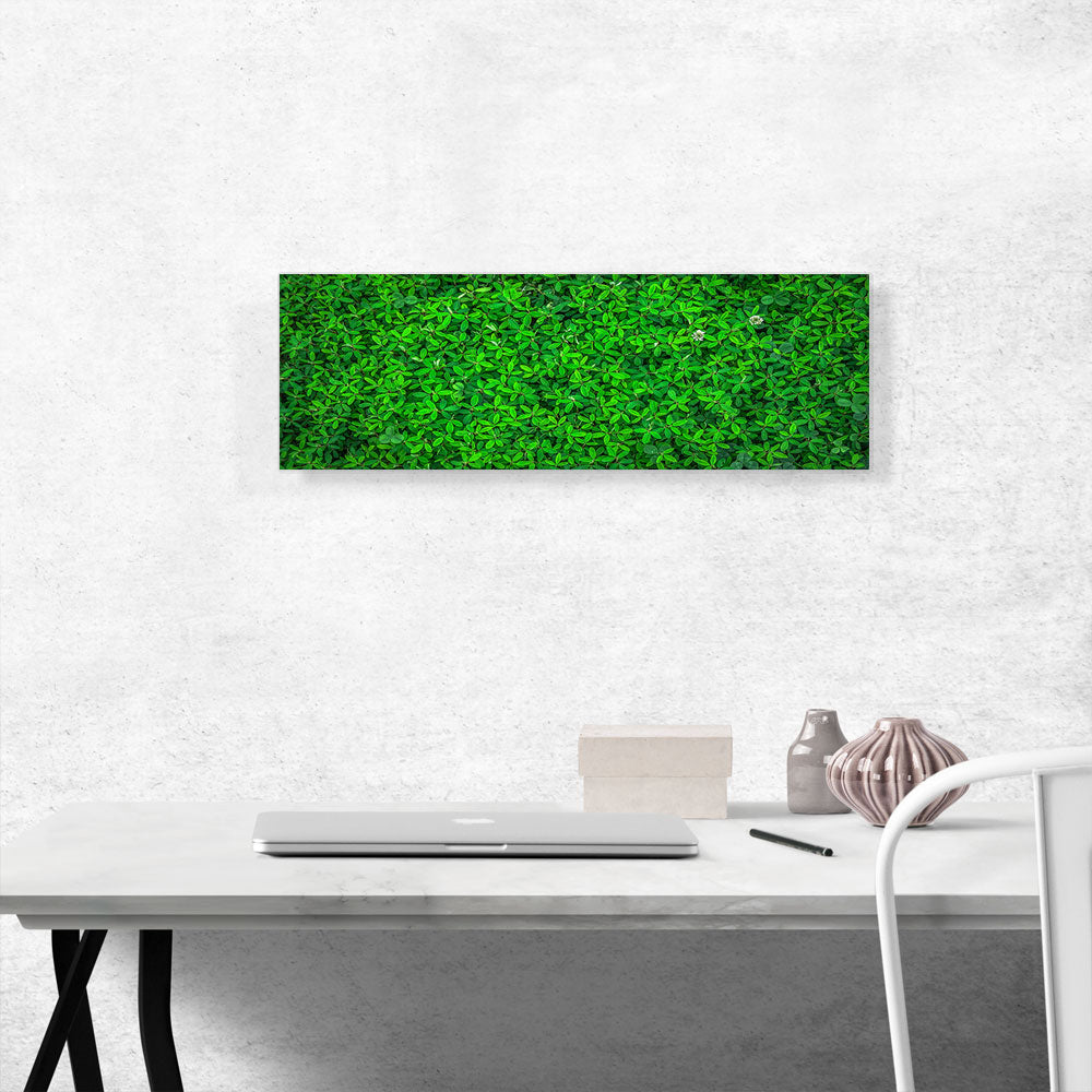 Grass With Flowers