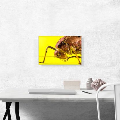 Grasshopper On Yellow Flower Home decor