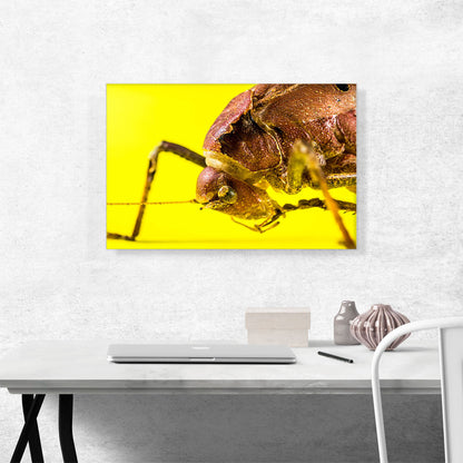 Grasshopper On Yellow Flower Home decor