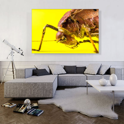 Grasshopper On Yellow Flower Home decor