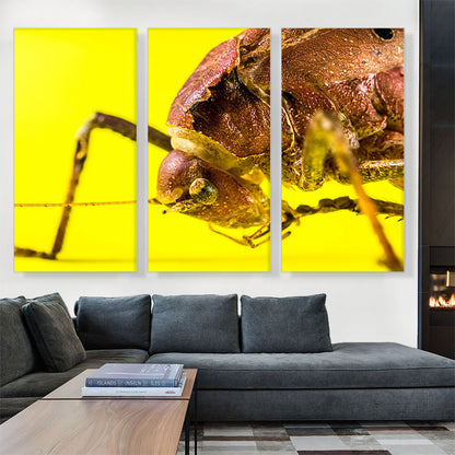 Grasshopper On Yellow Flower Home decor