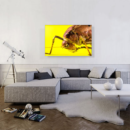 Grasshopper On Yellow Flower Home decor