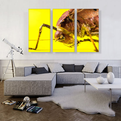 Grasshopper On Yellow Flower Home decor