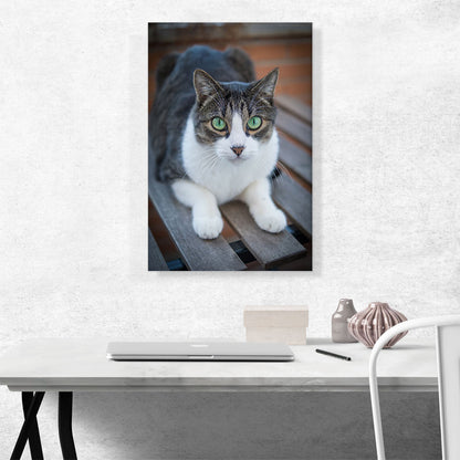 Green Eyes Cat Home decor