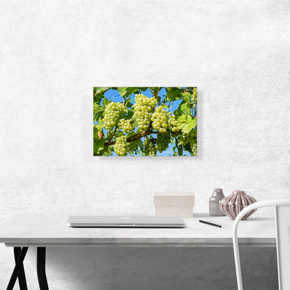 Green Grapes Home decor