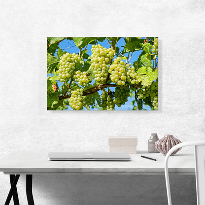 Green Grapes Home decor