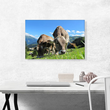 Grey Cows In The Mountain Home decor