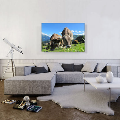 Grey Cows In The Mountain Home decor
