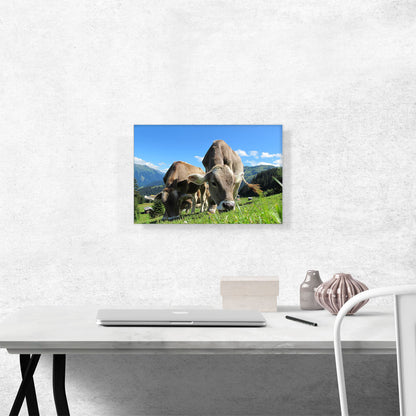 Grey Cows In The Mountain Home decor