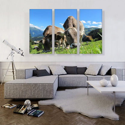 Grey Cows In The Mountain Home decor