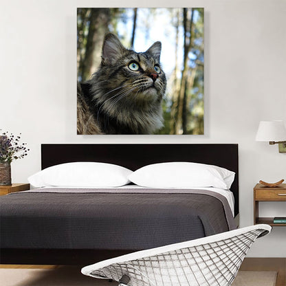 Grey Norwegian Forest Cat Home decor