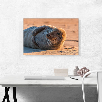 Grey Seal Home decor