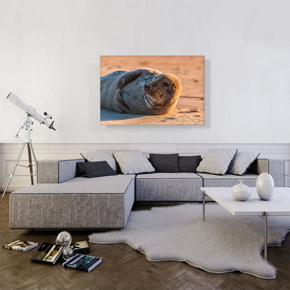 Grey Seal Home decor