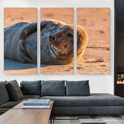 Grey Seal Home decor