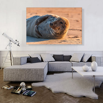 Grey Seal Home decor
