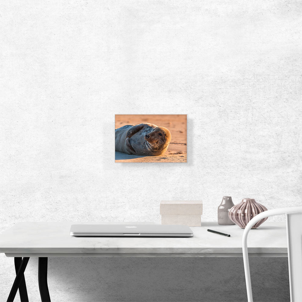 Grey Seal Home decor
