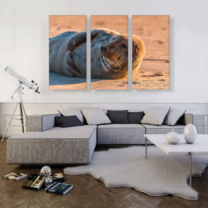 Grey Seal Home decor