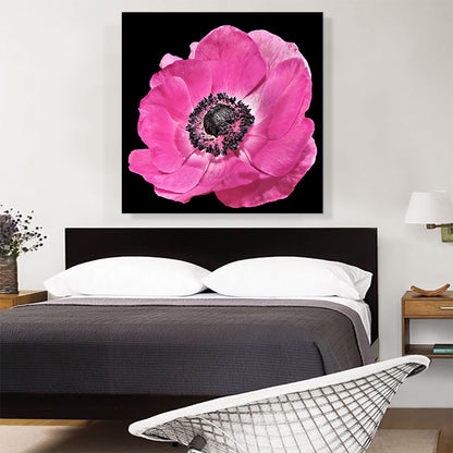 Anemone Flower Home decor