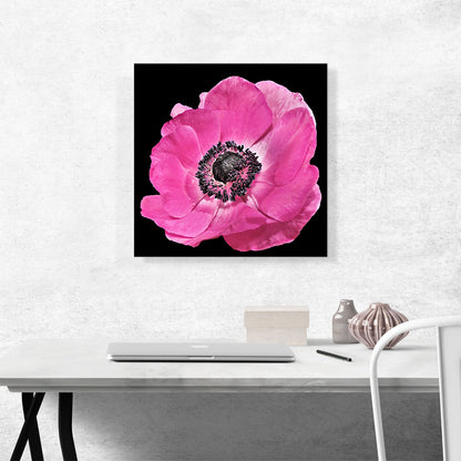 Anemone Flower Home decor