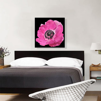 Anemone Flower Home decor