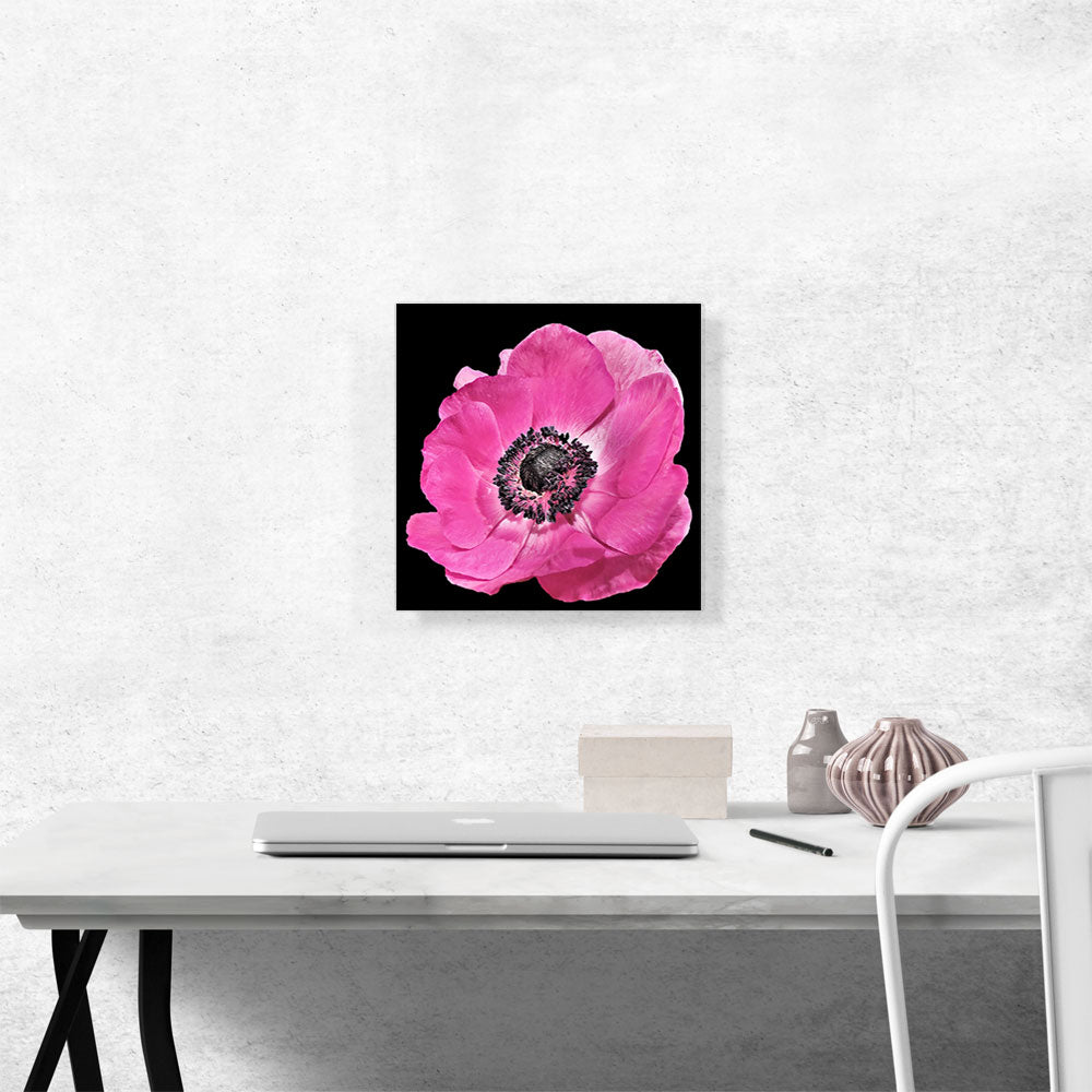 Anemone Flower Home decor