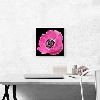 Anemone Flower Home decor