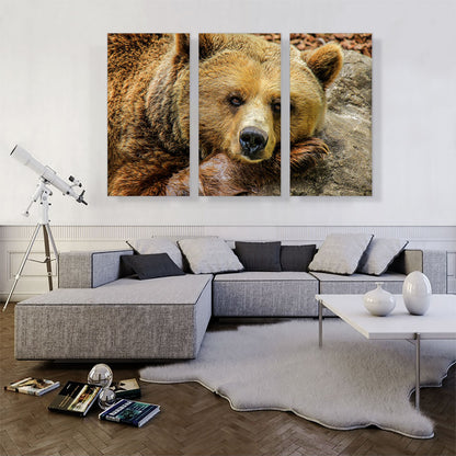 Grizzly Bear On Rock Zoo decor